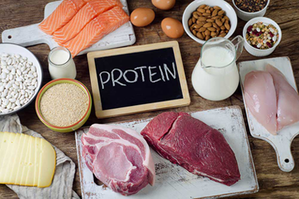 Protein Nedir