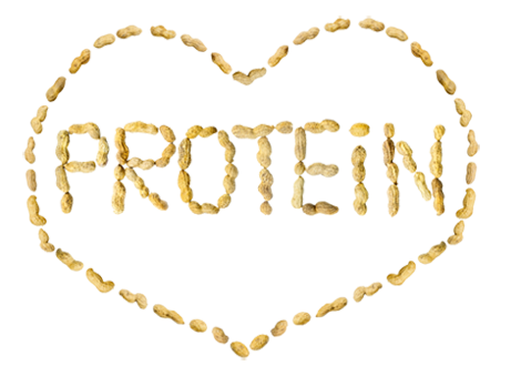 Protein Nedir